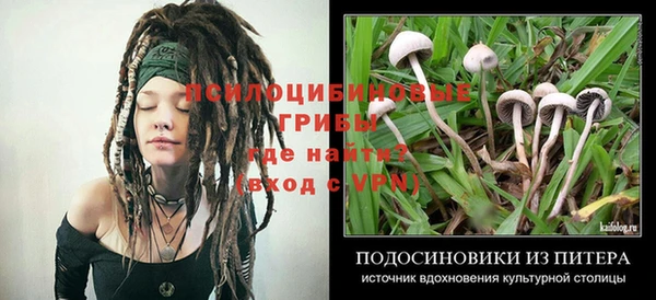 кокс Алексеевка