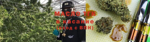 молекула духа Алексин