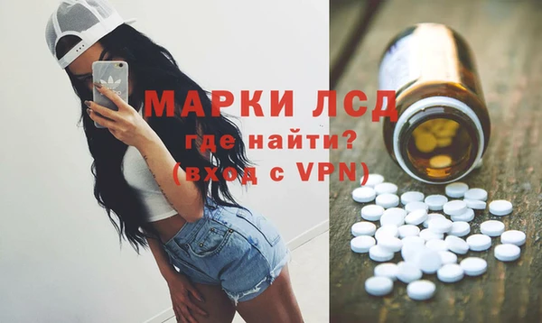 винт Алзамай