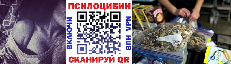 закладки  Дмитриев  Галлюциногенные грибы мухоморы 